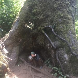 At the base of the giant Sitka Spruce